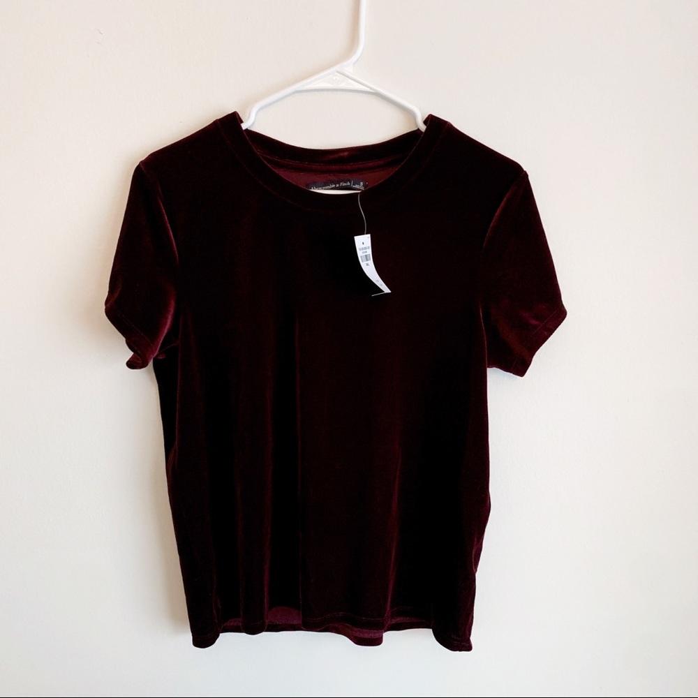 NWT Abercrombie & Fitch Women’s Velvet Top